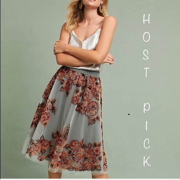 Anthropologie Dresses & Skirts - Anthropologie Rosie embroidered Tulle skirt